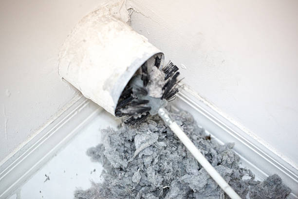 Best Best Air Duct Cleaning Company  in Lafayette, CO